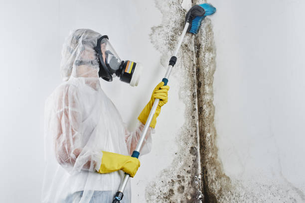 Crawl Space Mold Removal in Montgomery, TX