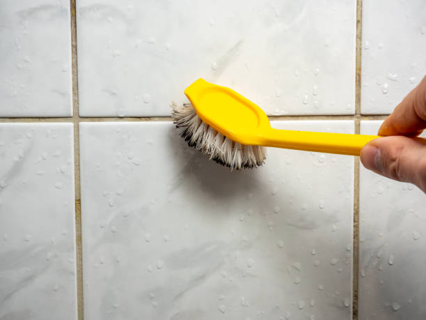 Reliable Montgomery, TX Mold Removal Solutions