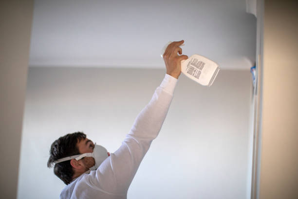 Best Water Damage Restoration  in Montgomery, TX